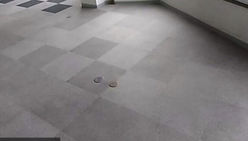 カーペット洗浄