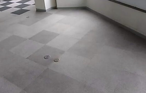 カーペット洗浄