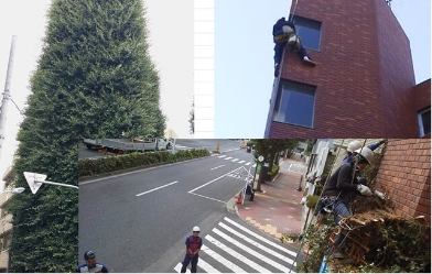 施工事例